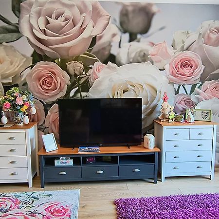 Sweet Garden Residence Μπρασόβ Εξωτερικό φωτογραφία