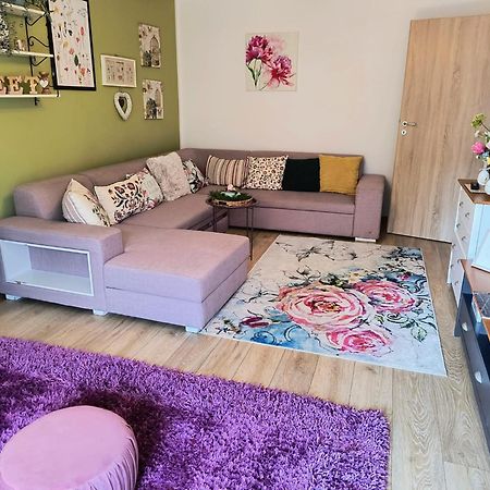 Sweet Garden Residence Μπρασόβ Εξωτερικό φωτογραφία