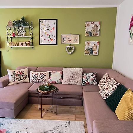 Sweet Garden Residence Μπρασόβ Εξωτερικό φωτογραφία