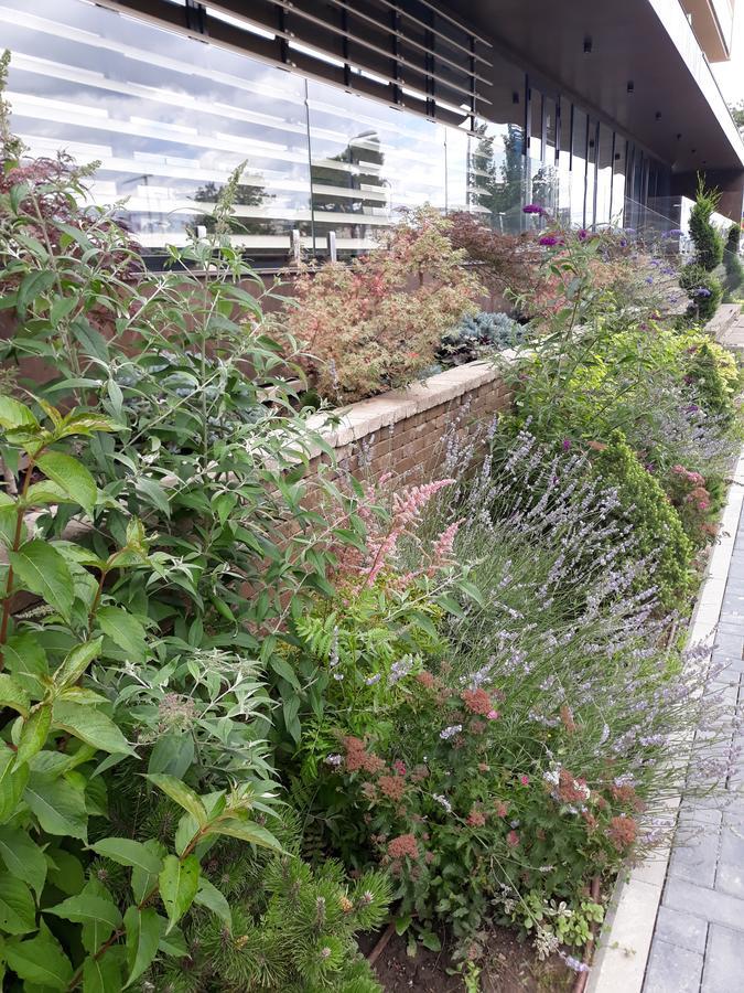 Sweet Garden Residence Μπρασόβ Εξωτερικό φωτογραφία